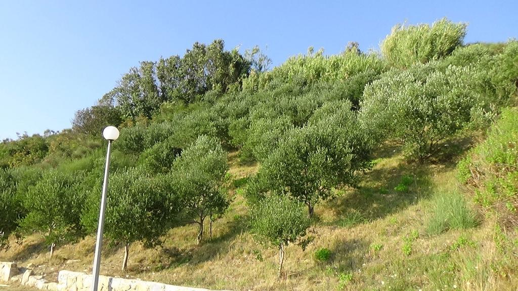 Apartments Cape Deluxe Rtina Dış mekan fotoğraf